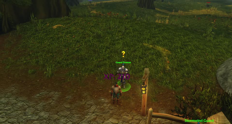 Guard Thomas in Elwynn Forest, where you pick up this quest