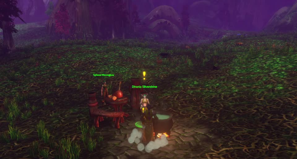 Dirania Silvershine in Teldrassil, where you pick up this quest