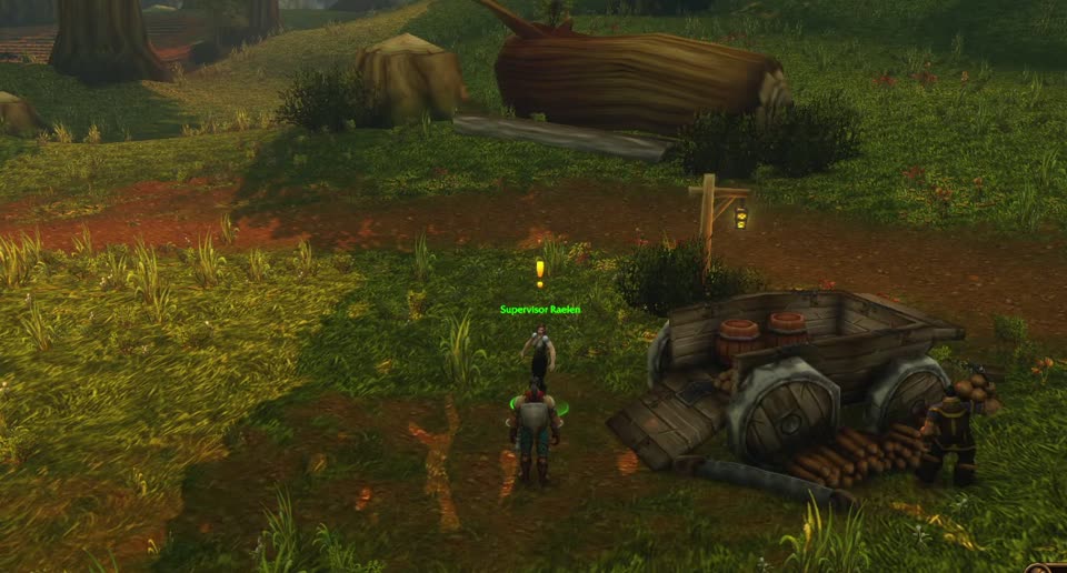 Supervisor Raelen in Elwynn Forest, where you pick up this quest