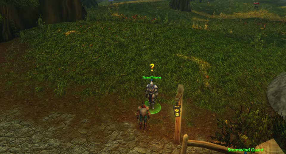 Guard Thomas in Elwynn Forest, where you turn in this quest